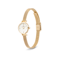 Orologio Daniel Wellington Donna PETITE MINI in Acciaio DW00100745 - DW00100745
